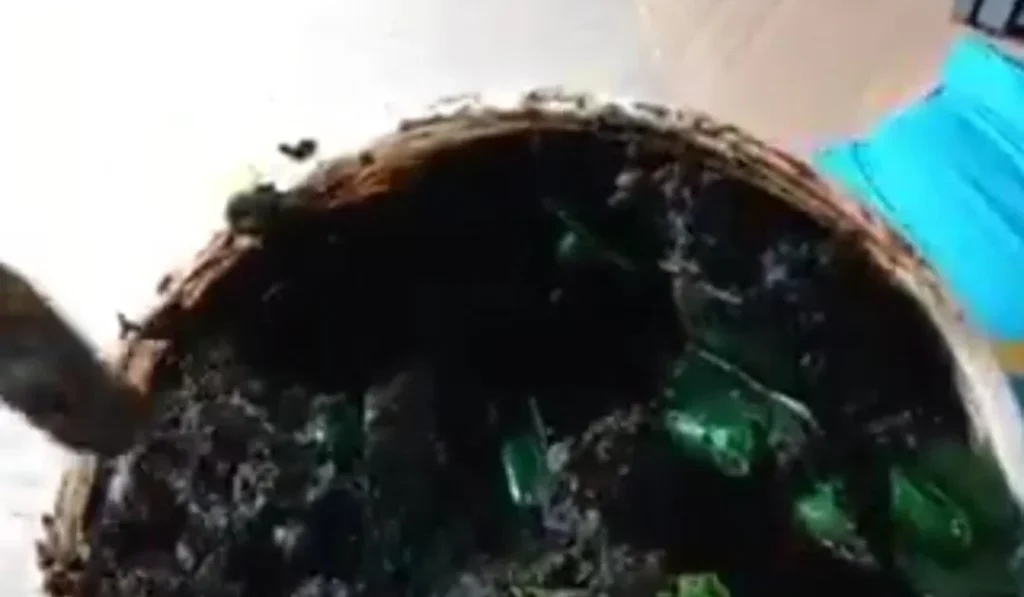 NDLEA uncovers tramadol in black soap bound for UK