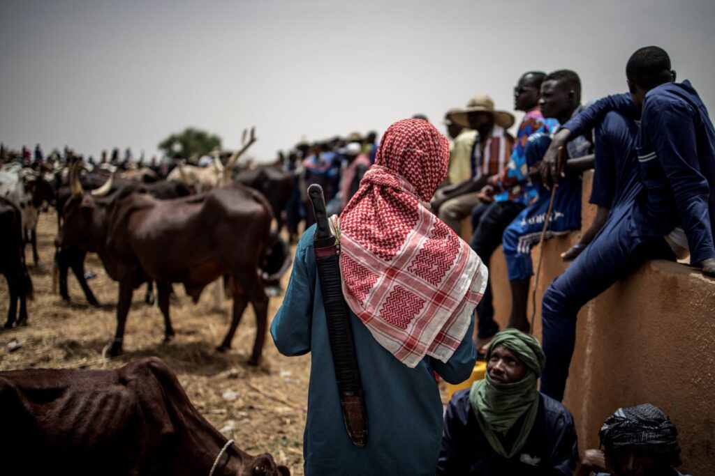 Niger State to profile incoming herders, introduces entry permit