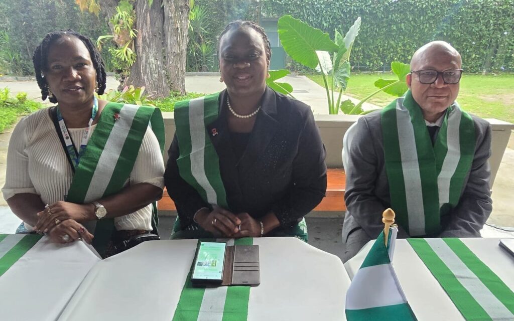 Nigeria seeks stronger domestic funding to sustain HIV response