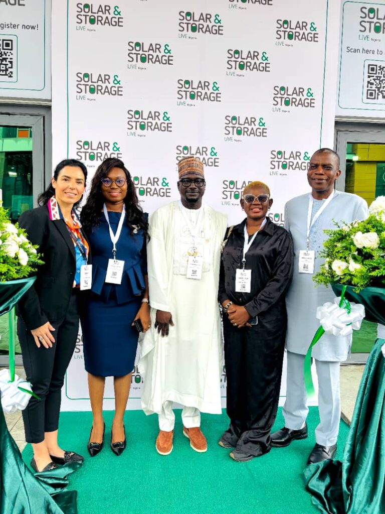 Nigeria’s Renewable Energy Industry Shifts Focus to Storage As Solar Costs Fall – THISDAYLIVE