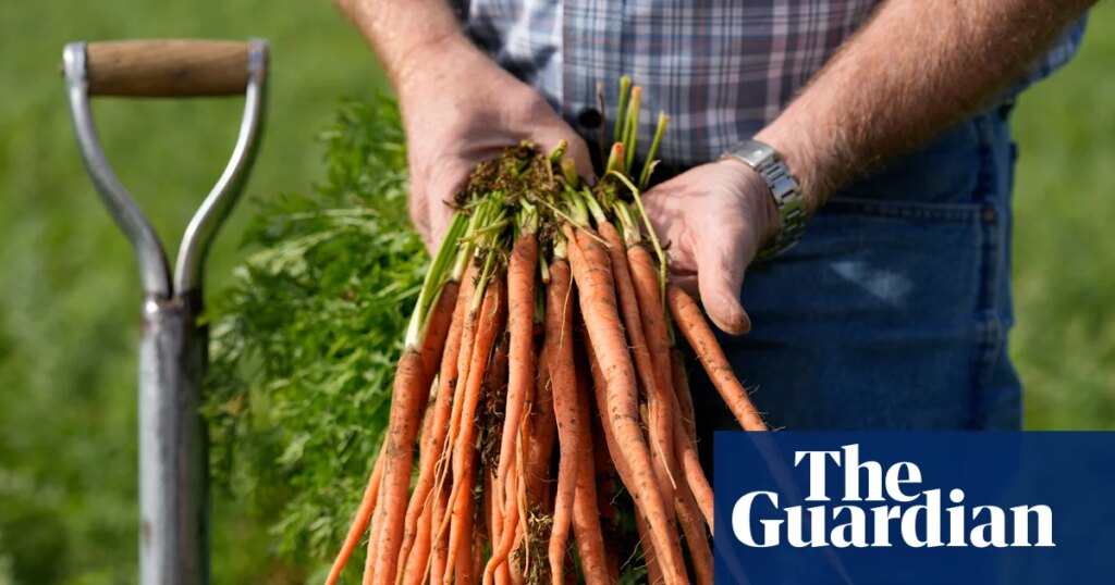 Nutrients in our food are declining. Can regenerative agriculture save it? | Vegetables
