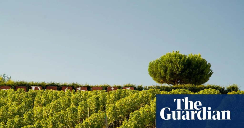 Popping the cork for crémant, the affordable alternative to champagne | Wine Popping the cork for crémant, the affordable alternative to champagne | Wine