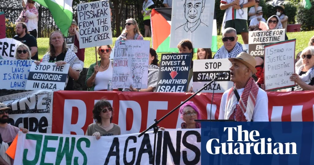 Protesters launch high court challenge to Queensland ban on ‘from the river to the sea’ | Queensland