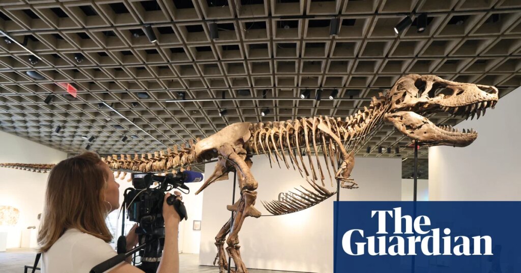 Sale of multimillion-dollar T rex skeleton is big headache for scientists | Dinosaurs Sale of multimillion-dollar T rex skeleton is big headache for scientists | Dinosaurs