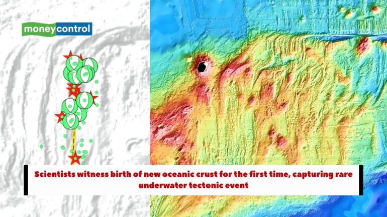 Scientists witness birth of new oceanic crust for the first time, capturing rare underwater tectonic event Scientists witness birth of new oceanic crust for the first time, capturing rare underwater tectonic event