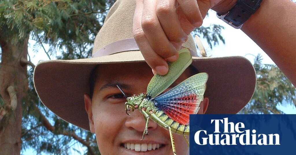 Sex-loving hookworms and other peculiar parasites: one man’s mission to champion nature’s villains | Global development Sex-loving hookworms and other peculiar parasites: one man’s mission to champion nature’s villains | Global development