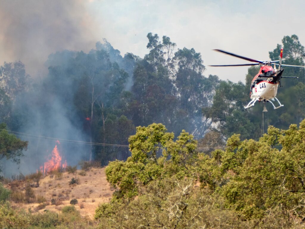 Spain and France battle raging wildfires, face high risk of more | Weather News