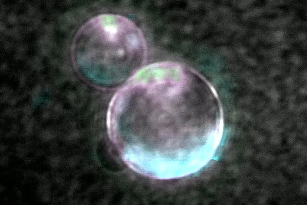 SpudCell: Have scientists really made a living cell from scratch? Not quite
