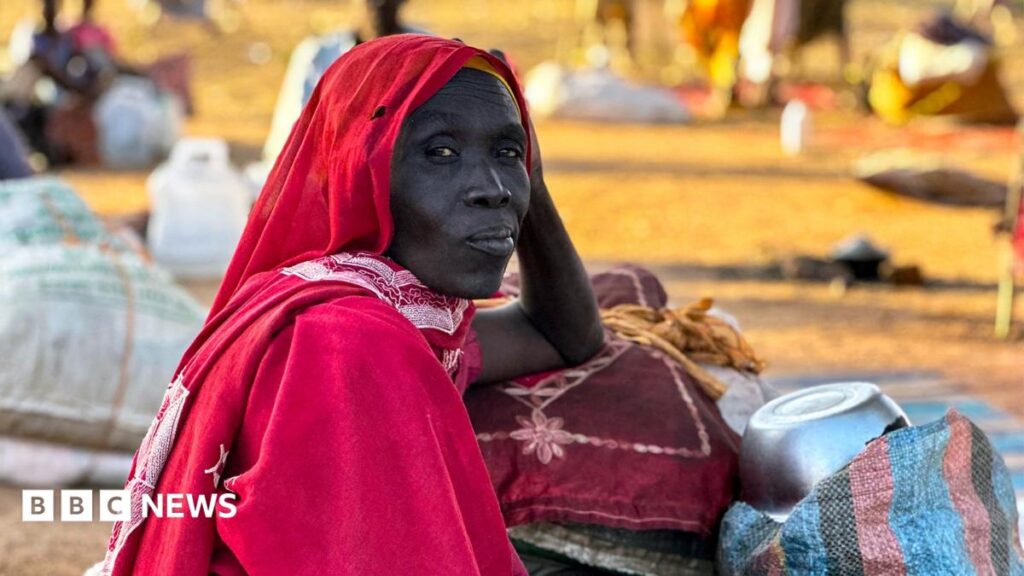 Sudan war: ICC tells BBC of breakthrough in war crimes investigation Sudan war: ICC tells BBC of breakthrough in war crimes investigation