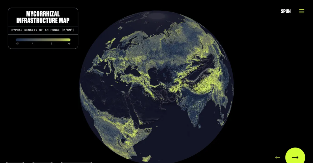 There’s a Global Network of Fungi Under Your Feet. This Is the First Complete Map There’s a Global Network of Fungi Under Your Feet. This Is the First Complete Map