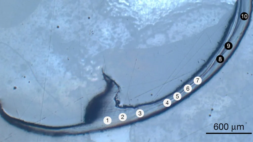 This ancient sea worm has “bio-metal” jaws unlike anything scientists have seen This ancient sea worm has “bio-metal” jaws unlike anything scientists have seen