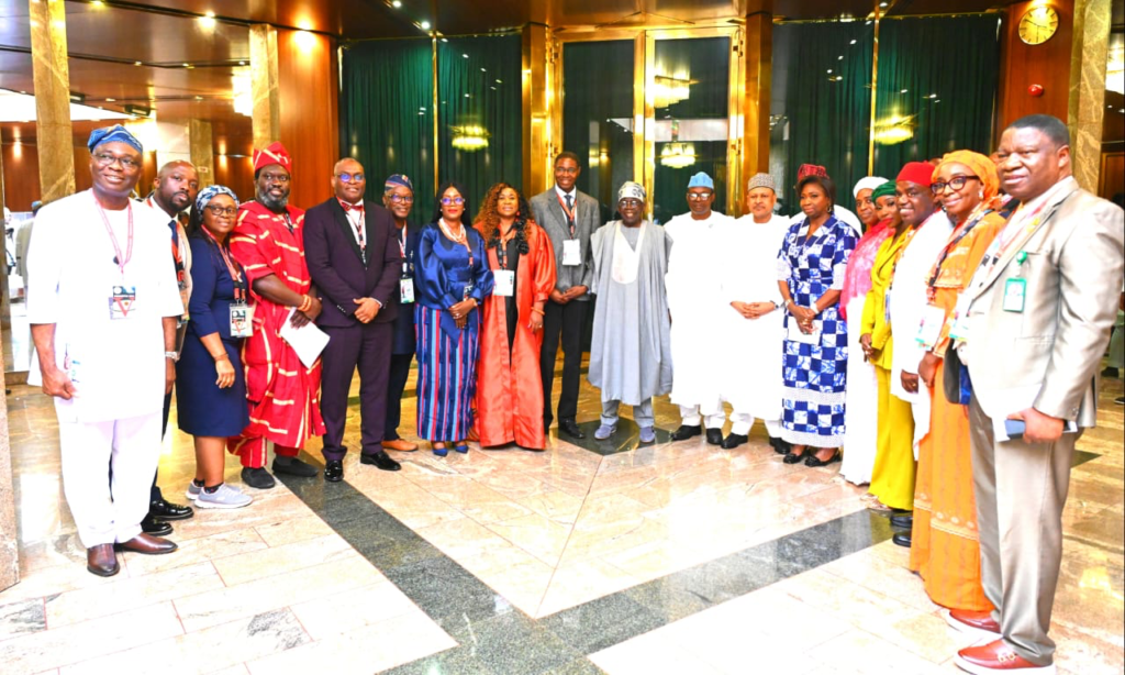 Tinubu urges Nigerian doctors abroad, other medical professionals to return home