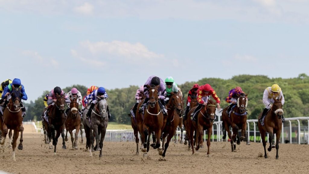 Today on Sky Sports Racing: Siouxperb clashes with promising newcomers in Newcastle feature with Wolverhampton and Bath also live on Friday | Racing News