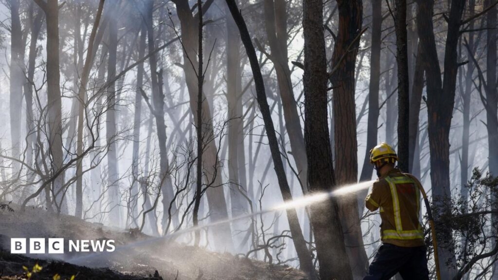 Twelve die in Spain wildfire as heatwave continues in southern Europe Twelve die in Spain wildfire as heatwave continues in southern Europe