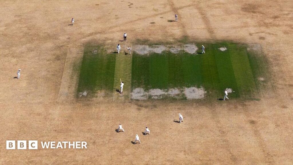 UK weather: England and Wales on course for driest July on record