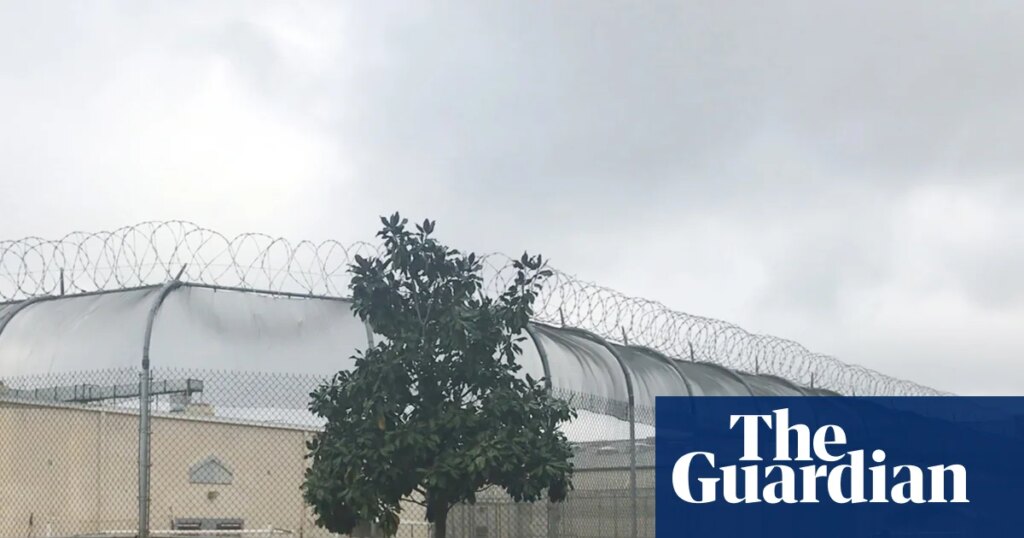 Venezuelan man becomes 22nd person to die in ICE custody this year | ICE (US Immigration and Customs Enforcement) Venezuelan man becomes 22nd person to die in ICE custody this year | ICE (US Immigration and Customs Enforcement)
