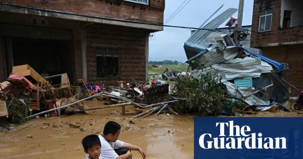 Venomous snakes escape breeding farms in southern China during flooding | China Venomous snakes escape breeding farms in southern China during flooding | China