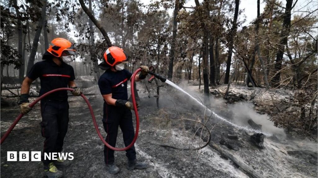 Volunteer firefighter suspected of starting devastating France forest fire Volunteer firefighter suspected of starting devastating France forest fire