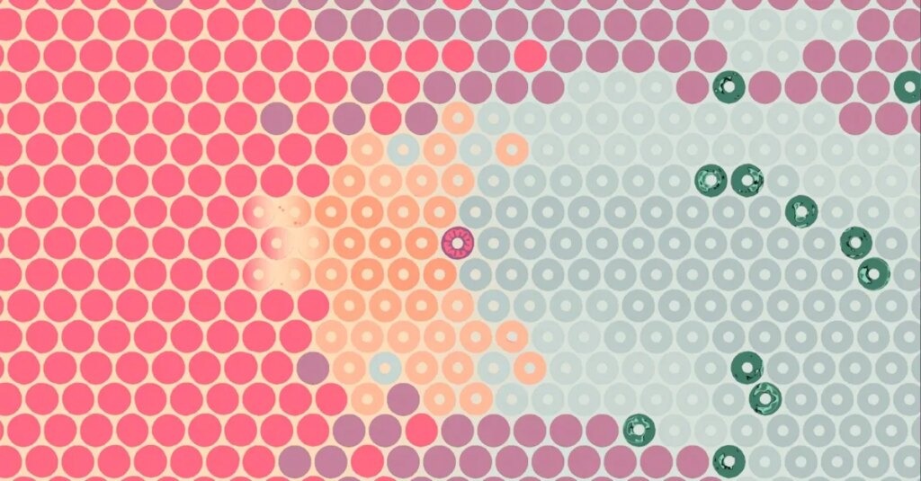 What Surrounds Us will make you think a lot about circles