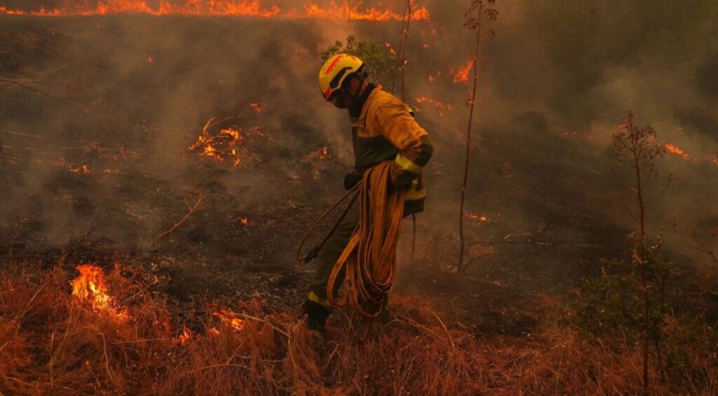 What’s causing the unprecedented wildfires in Europe? | Climate News What’s causing the unprecedented wildfires in Europe? | Climate News