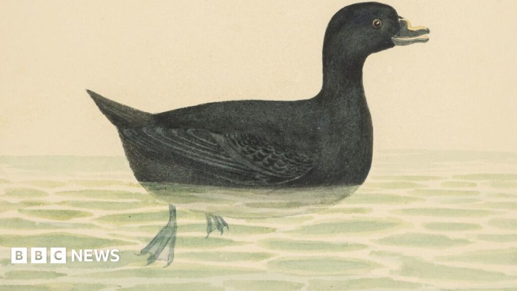 William Weston Young watercolours expected to fetch thousands at auction