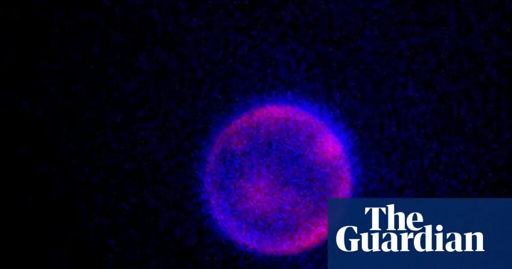 ‘Beautiful blobs’: can scientists build life from scratch? – podcast | Science