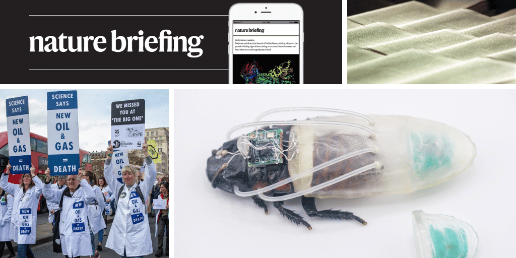 ‘Cyborg’ cockroaches breathe underwater with printed suit ‘Cyborg’ cockroaches breathe underwater with printed suit
