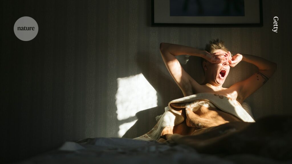 ‘Timer’ in the brain tracks sleep — and predicts awakening