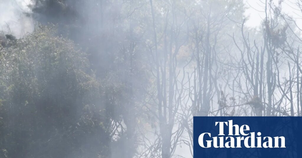 10 urgent climate policies the UK should implement now | Environment policy