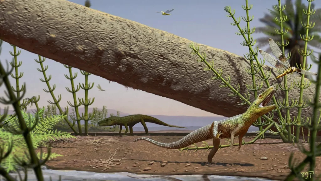 240-million-year-old reptile fossil reveals a lost chapter before dinosaurs and crocodiles 240-million-year-old reptile fossil reveals a lost chapter before dinosaurs and crocodiles