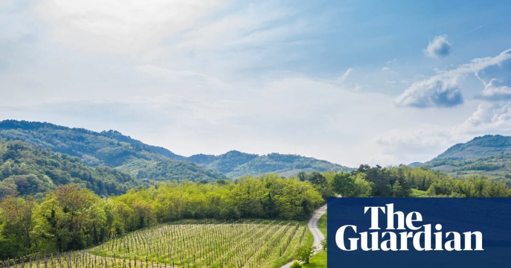 A slow travel success story in Slovenia’s secret valley | Slovenia holidays