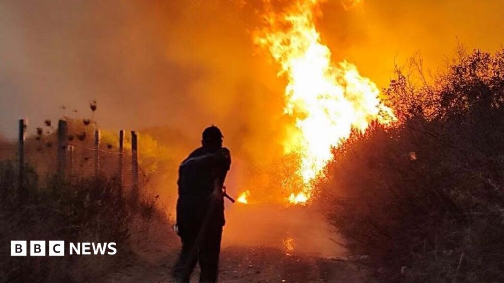 Algeria forest fires: President Abdelmadjid Tebboune seeks death penalty for arsonists