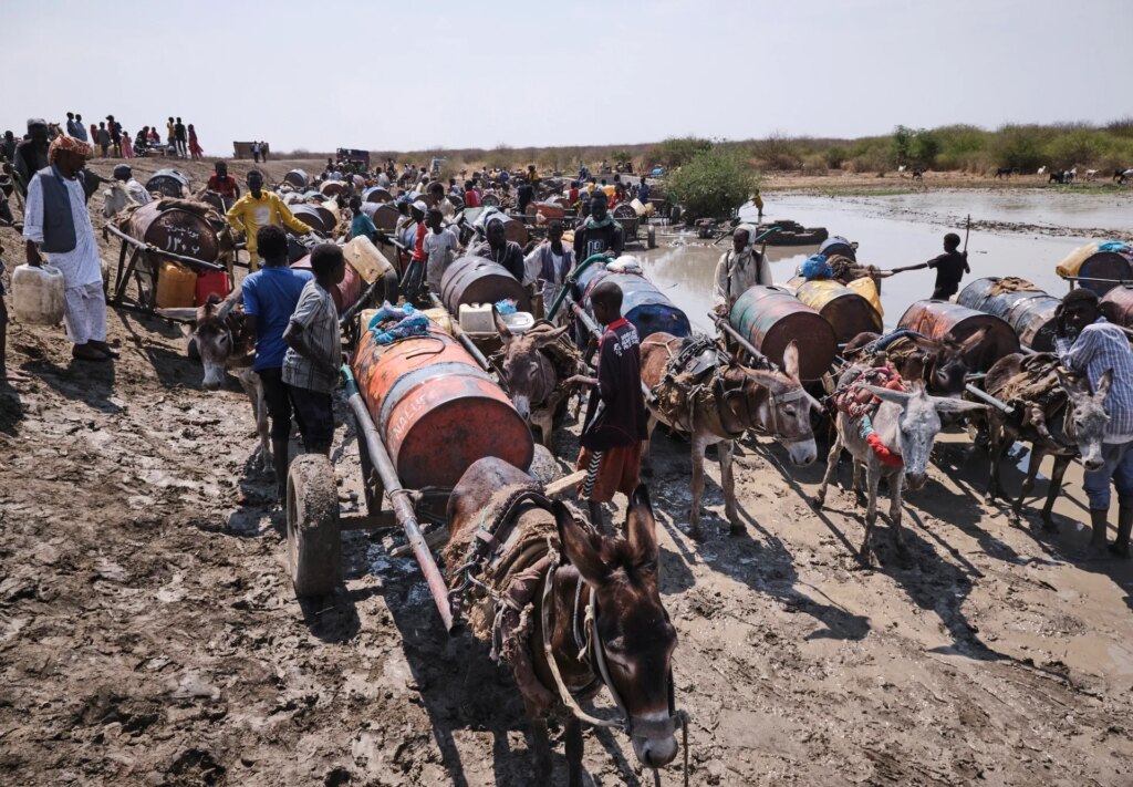 Armed raid on cattle camp kills at least 49 in South Sudan | Armed Groups News Armed raid on cattle camp kills at least 49 in South Sudan | Armed Groups News