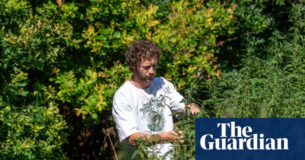 Avoid rare species and only take what you need: how to forage and save money on your food shopping | Foraging