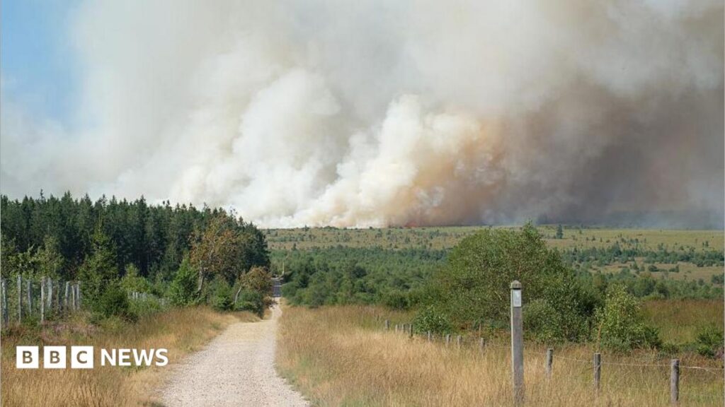 Belgian firefighters battle blaze tearing through nature reserve