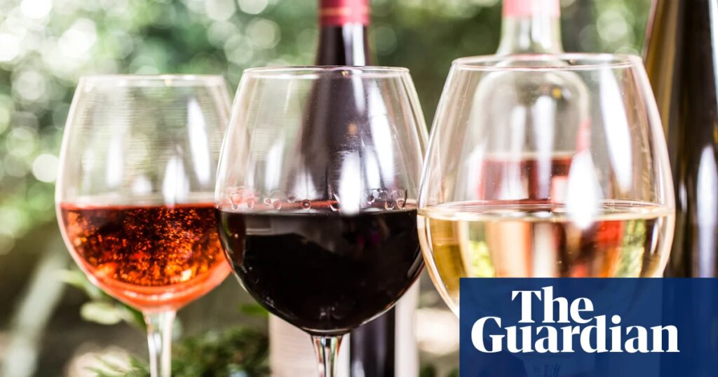 Berries with a hint of tarmac – what do we mean when we call a wine ‘fruity’? | Wine