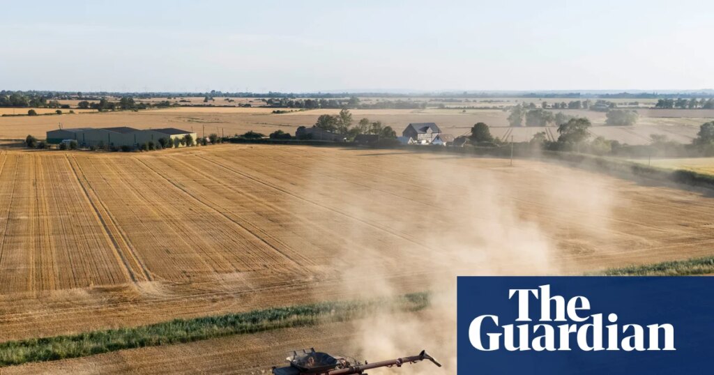 Britain could face food shortages as drought continues, farmers warn | Farming