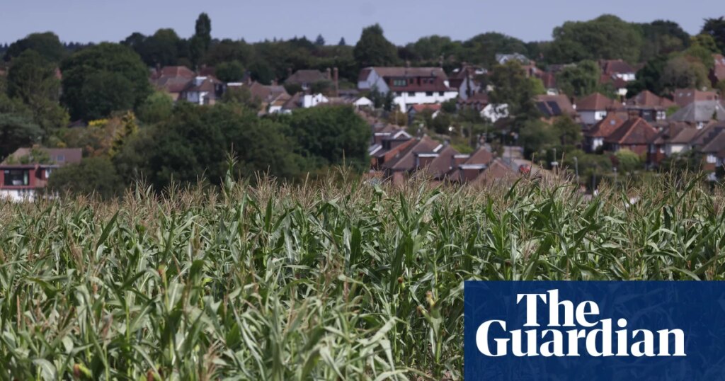 Burnham announces £65m for drought-hit farmers after Labour pressure | Farming