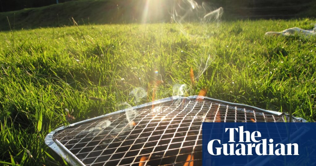 Burnham to consider ban on disposable barbecues as wildfires rage in UK | Environment Burnham to consider ban on disposable barbecues as wildfires rage in UK | Environment