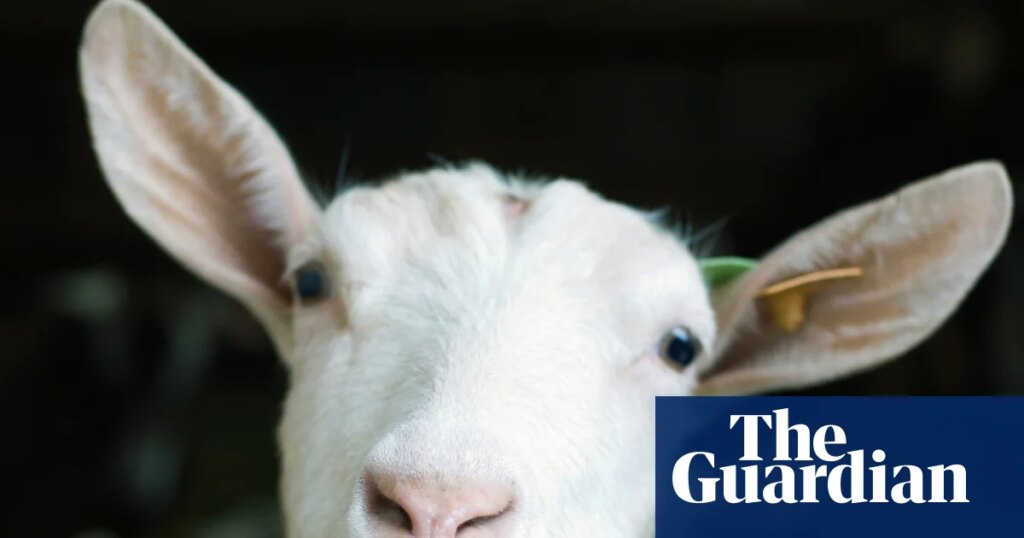Can you solve it? A new goat for puzzledom’s GOAT | Mathematics Can you solve it? A new goat for puzzledom’s GOAT | Mathematics