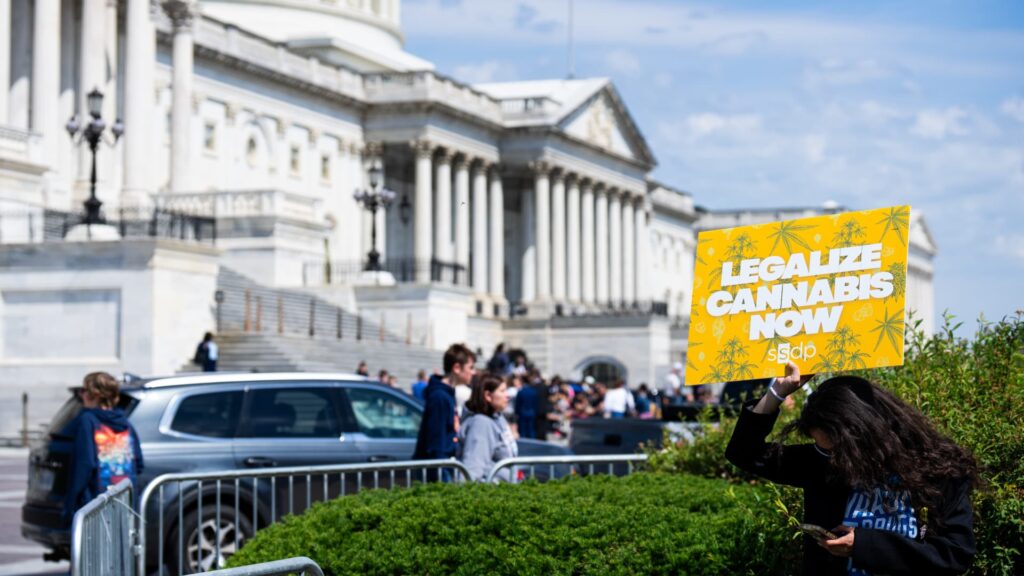 Cannabis reform is emerging as midterms elections issue