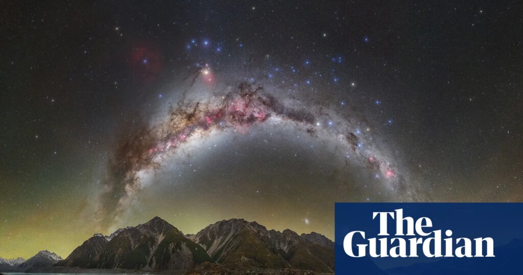 Capture the Dark 2026: Winning photographs