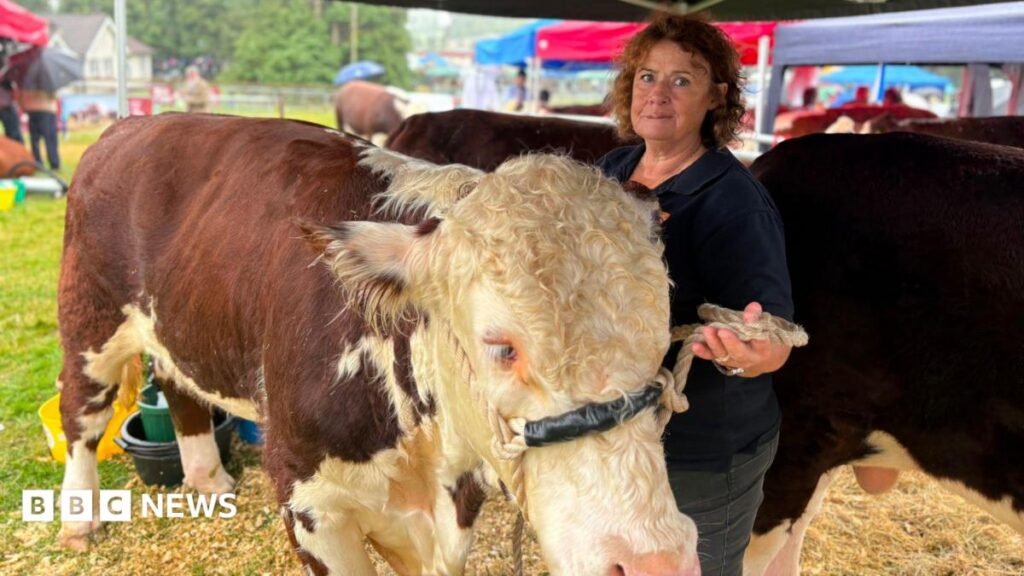 Cattle farming: ‘You can’t describe the loss’ – the reality of Bovine TB on farmers