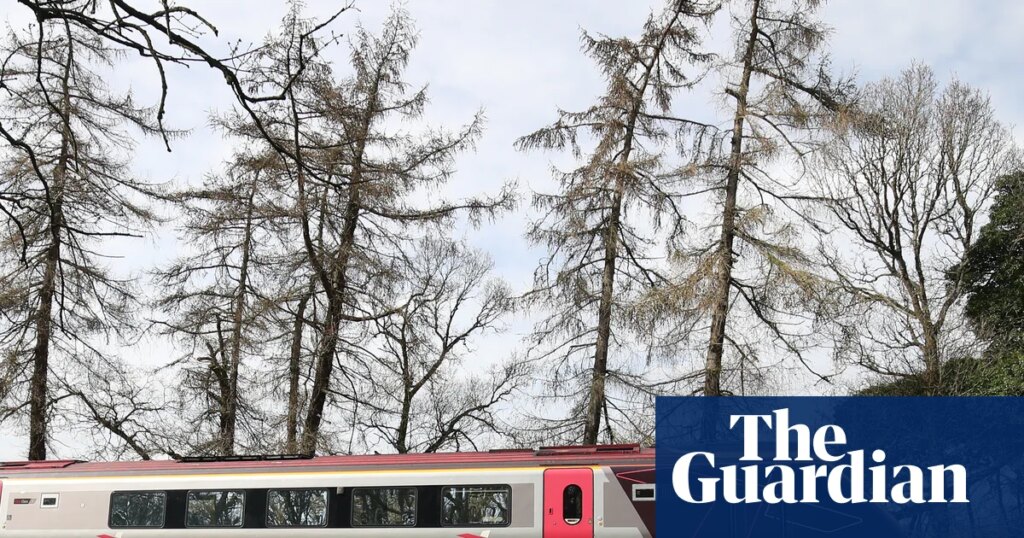 CrossCountry cancels almost all rail services after power cut hits control centre | Rail industry