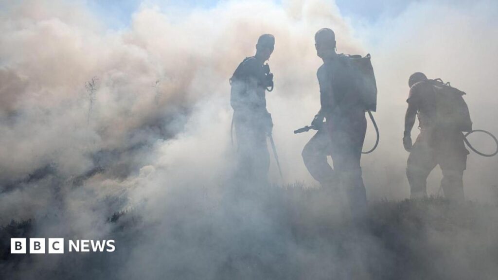 Does ‘rewilded’ land need better wildfire prevention measures?
