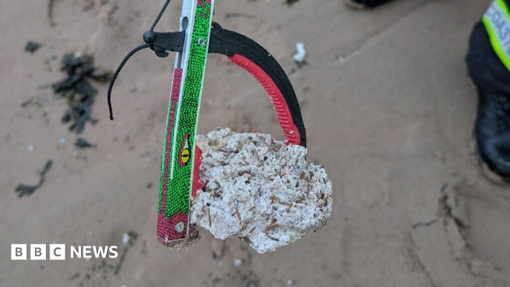 Dog warning as suspected palm oil washes up on Wirral beach
