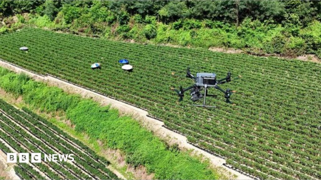 Drone warnings, sheltering in airports: South Korea battles historic heatwave