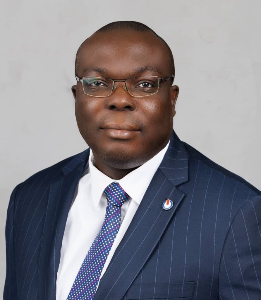 Energia Marks 25 Years of Building An Indigenous Energy Legacy – THISDAYLIVE