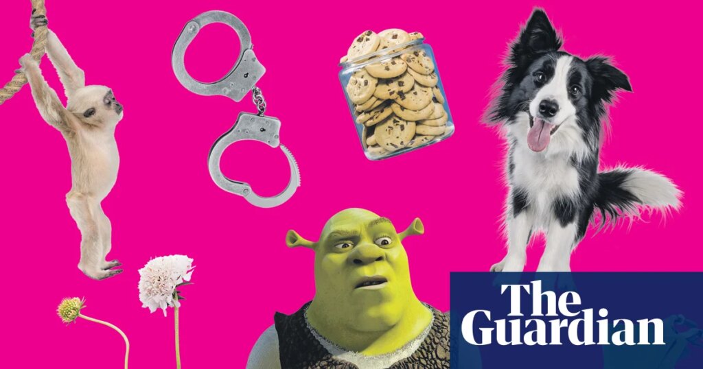 From shrekking to cookie-jarring: how well do you know the latest dating terms? | Dating