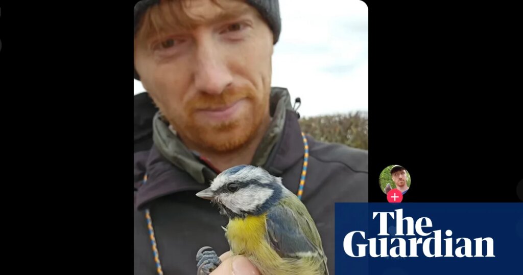 Gen Z flocks to BirdTok as birding takes flight: ‘It’s a craving for something real’ | Birds